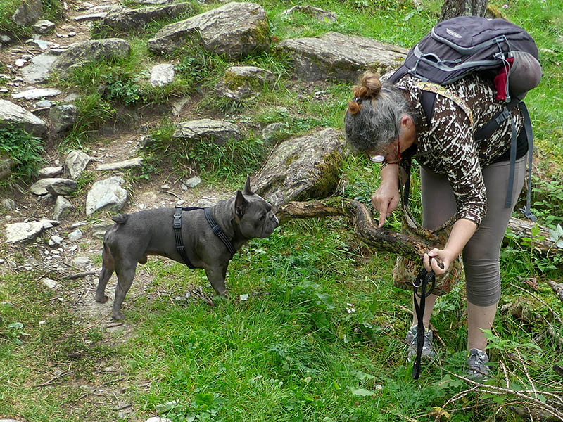 ... sotto il Monte Rosa...